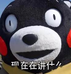 永利yl23411